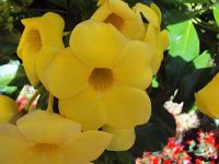 photos 2000-200902612